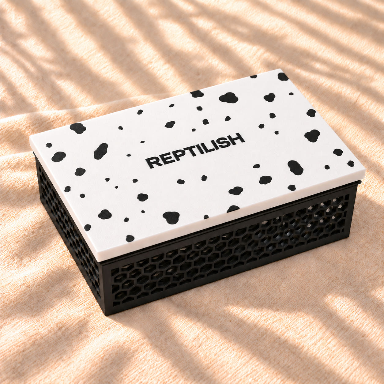 Cover Lid — 사진 5